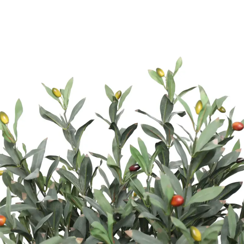 Oliven tre 150 cm