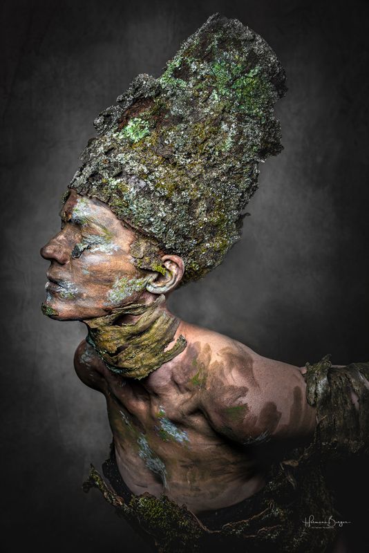 Troll 3 størrelser plexi eller aluminiumtrykk 100x66cm