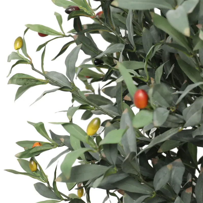 Oliven tre 150 cm